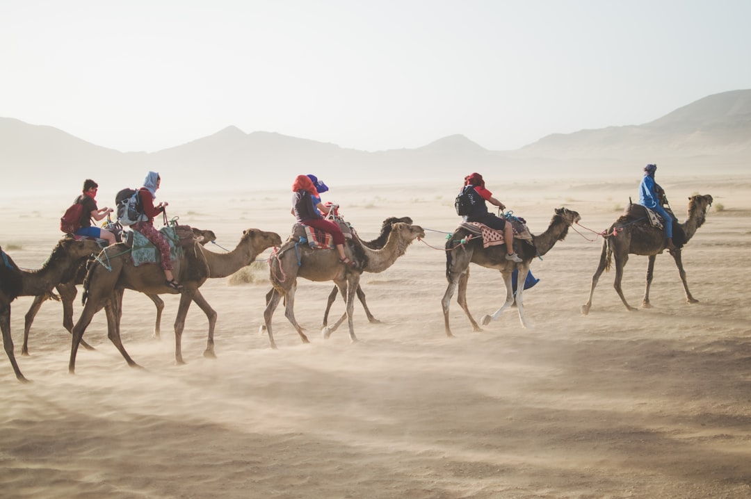 Exploring the Great Outdoors: A Journey Beyond the Beaten Path